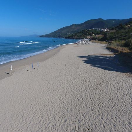 Residence Le Palme - Appartamenti Sul Mare - Spiaggia Tra Palinuro E Caprioli Pisciotta Eksteriør billede