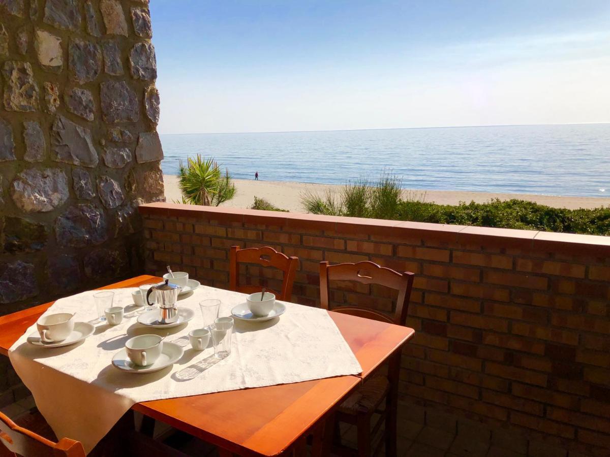Residence Le Palme - Appartamenti Sul Mare - Spiaggia Tra Palinuro E Caprioli Pisciotta Eksteriør billede