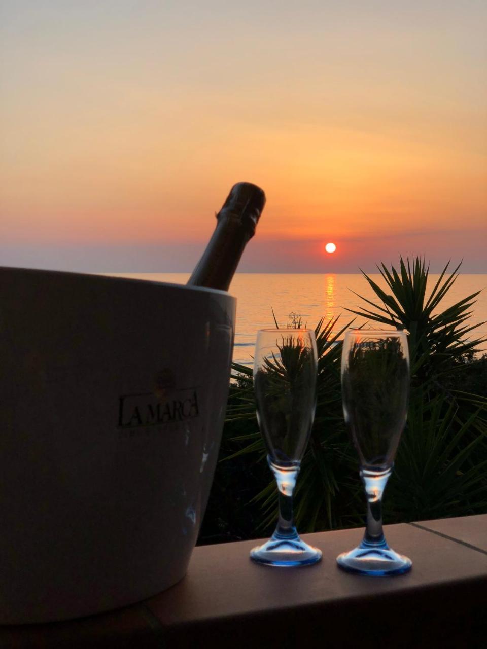 Residence Le Palme - Appartamenti Sul Mare - Spiaggia Tra Palinuro E Caprioli Pisciotta Eksteriør billede