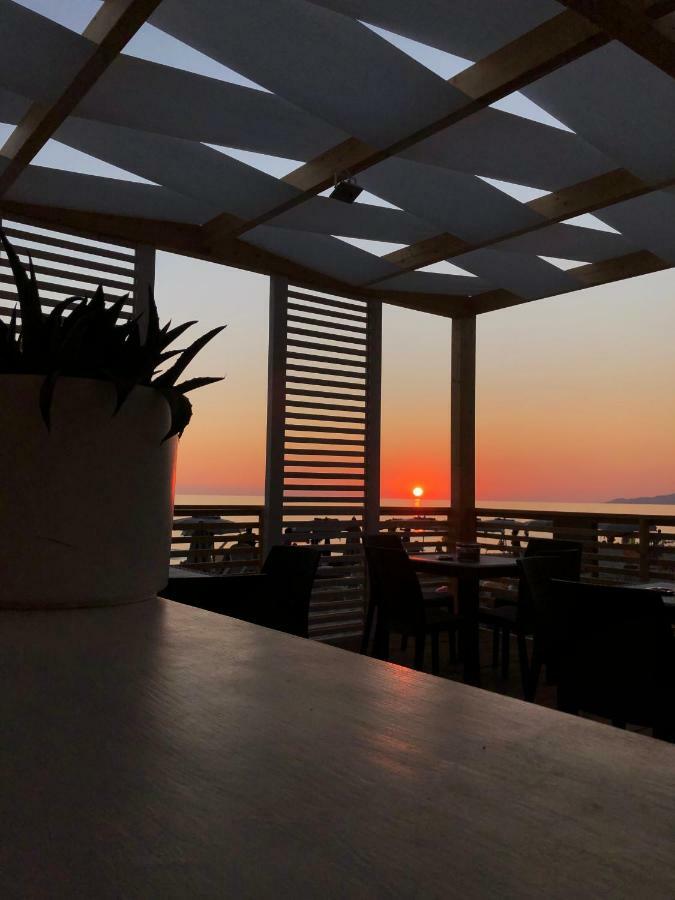 Residence Le Palme - Appartamenti Sul Mare - Spiaggia Tra Palinuro E Caprioli Pisciotta Eksteriør billede